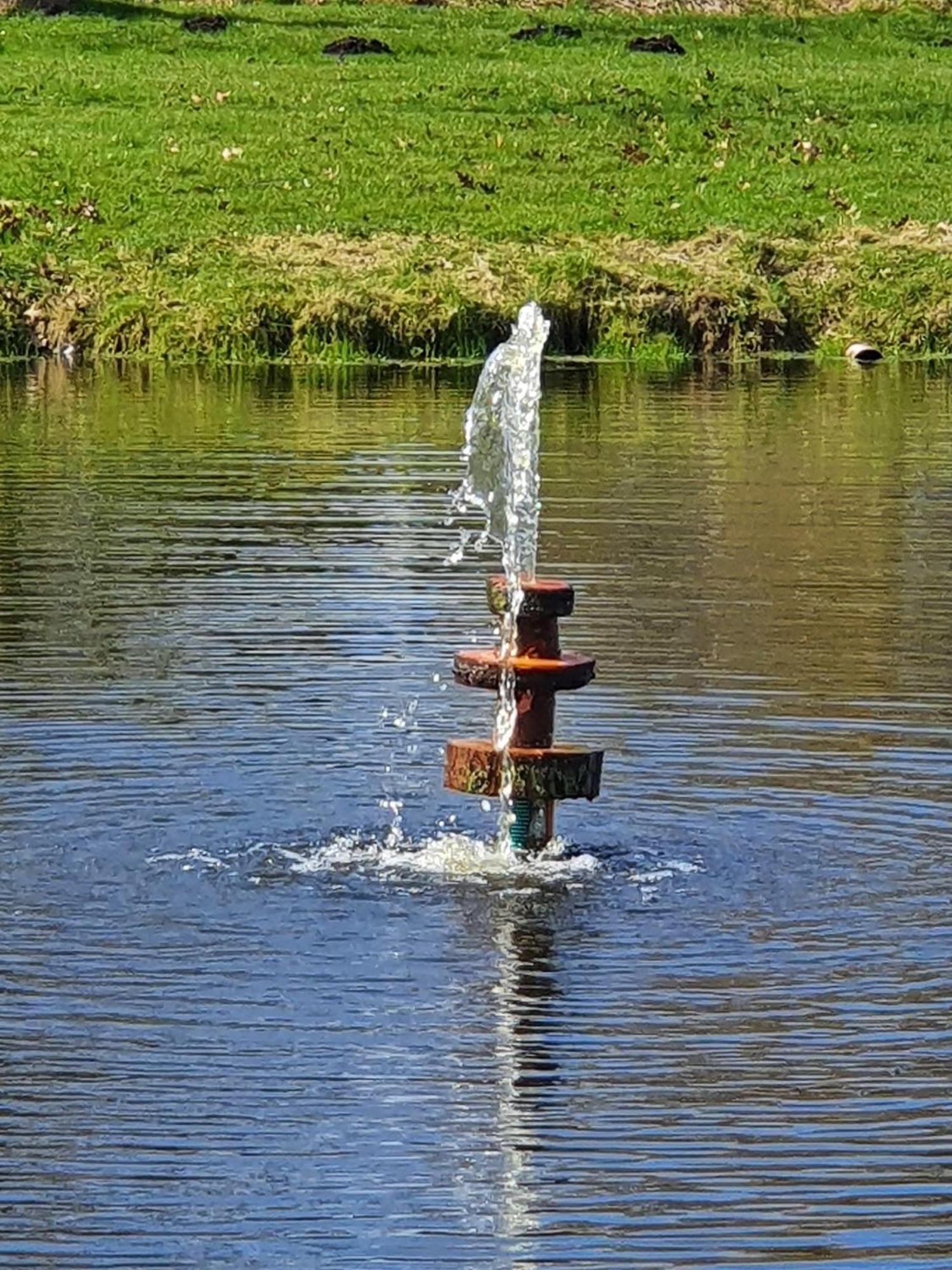 Idyllisches-Blockbohlenhaus-Mit-Eigenem-Garten-Und-Sauna-Zum-Wohlfuehlen Martensrade Экстерьер фото