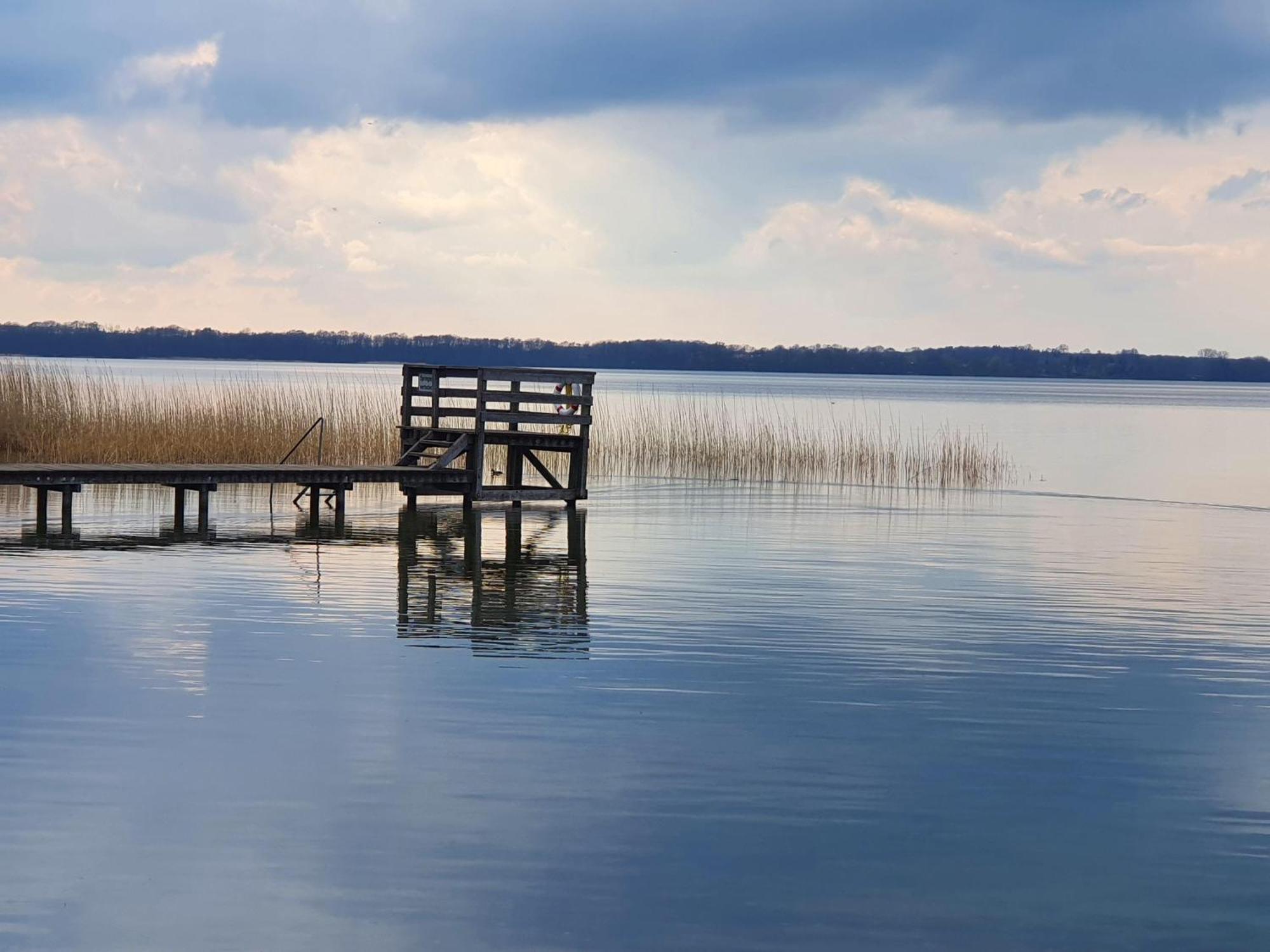 Idyllisches-Blockbohlenhaus-Mit-Eigenem-Garten-Und-Sauna-Zum-Wohlfuehlen Martensrade Экстерьер фото