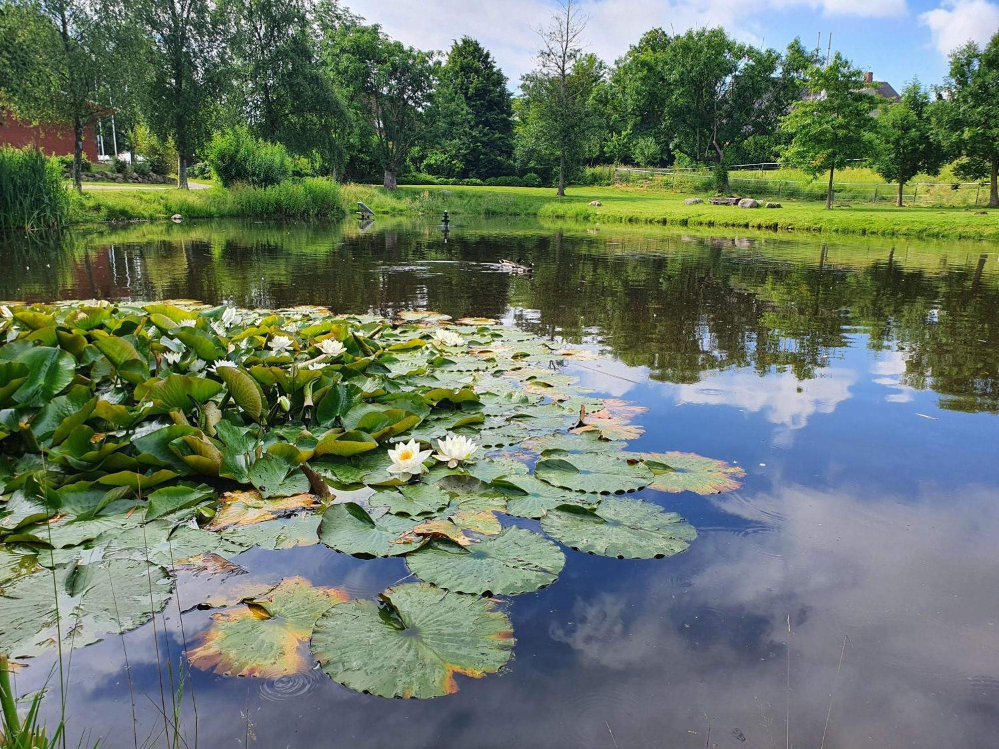 Idyllisches-Blockbohlenhaus-Mit-Eigenem-Garten-Und-Sauna-Zum-Wohlfuehlen Martensrade Экстерьер фото